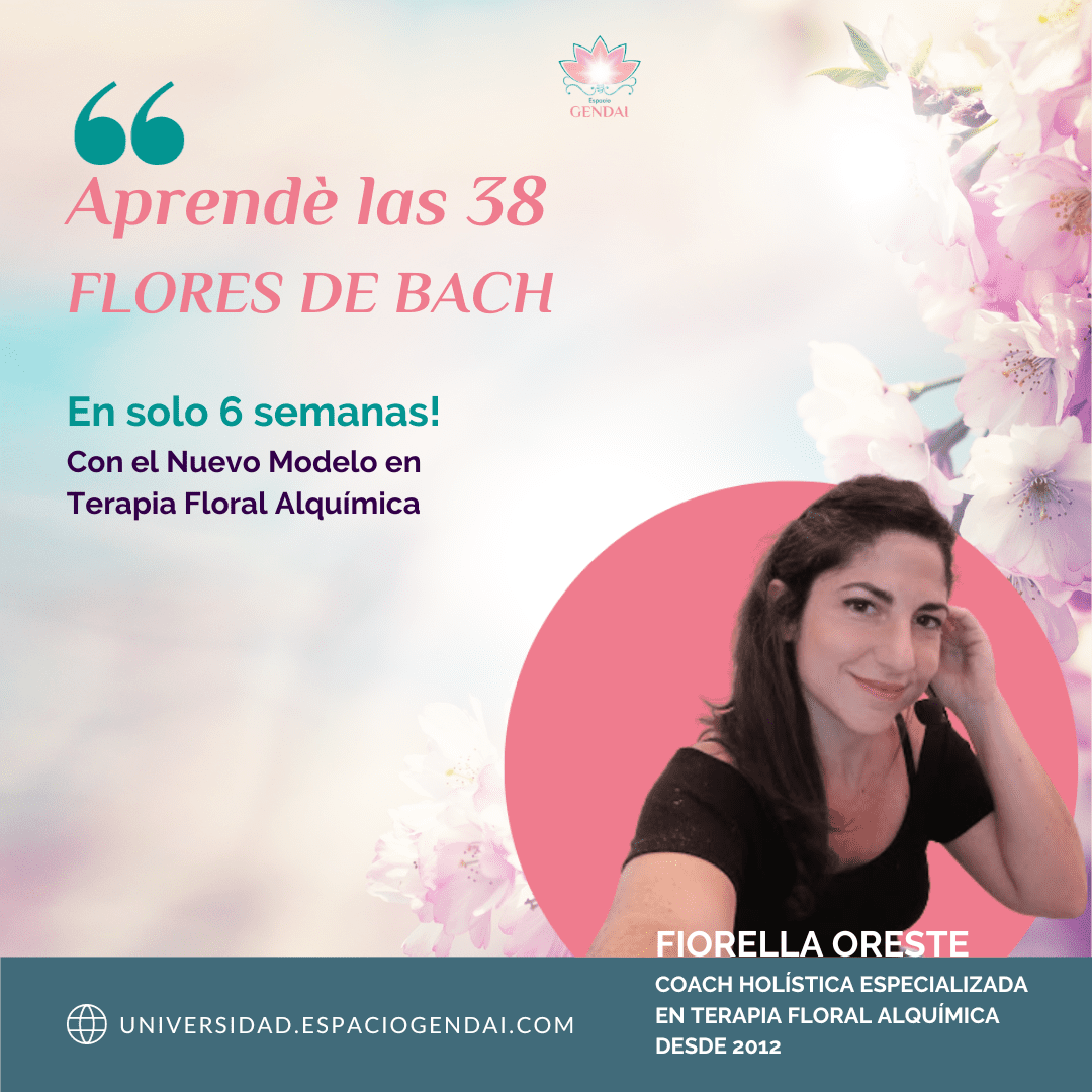 terapia floral alquímica – nivel 1