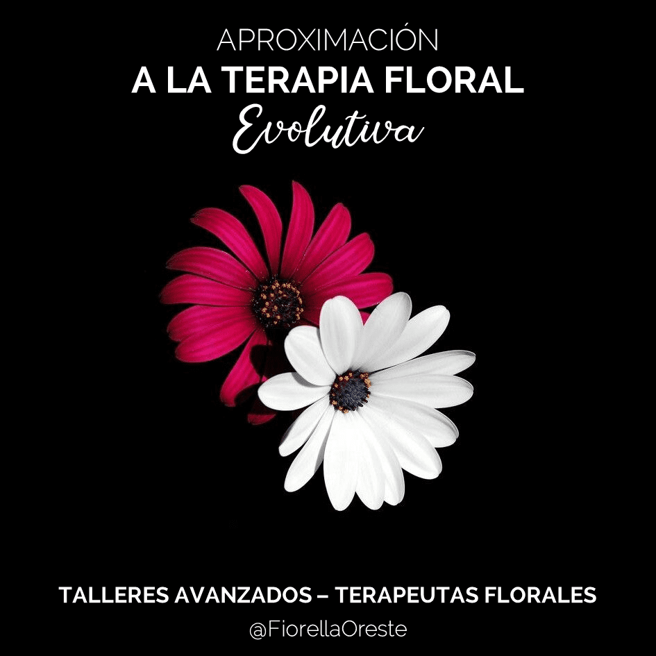 Terapia floral desde el modelo evolutivo