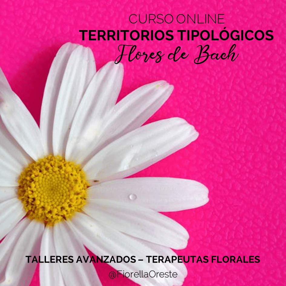 Territorios tipológicos – Constelaciones florales de los 12 curadores y más